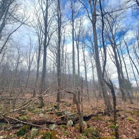 0 Glade Run Road Albright WV 26519