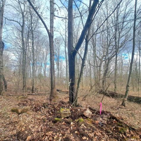 0 Glade Run Road Albright WV 26519