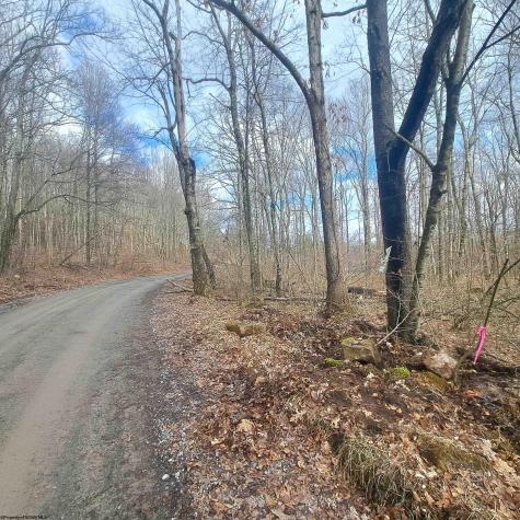 0 Glade Run Road Albright WV 26519