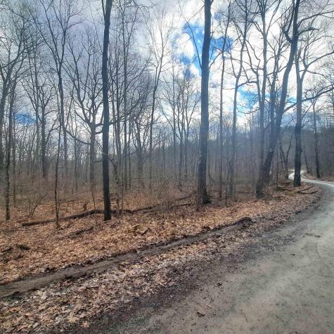 0 Glade Run Road Albright WV 26519