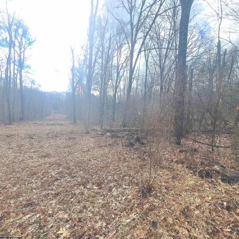 TBD Glade Run Road Albright WV 26519