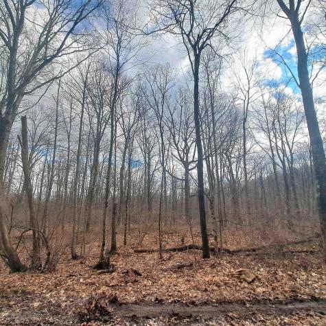 0 Glade Run Road Albright WV 26519