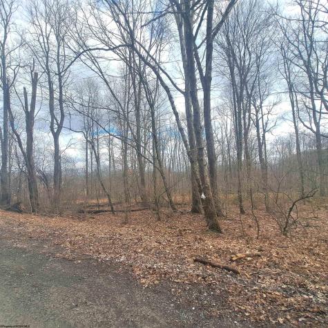 TBD Glade Run Road Albright WV 26519