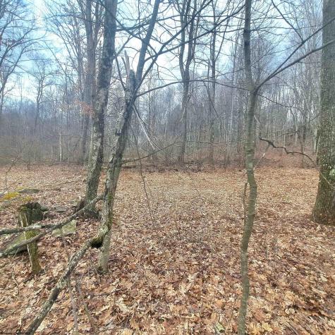 0 Glade Run Road Albright WV 26519