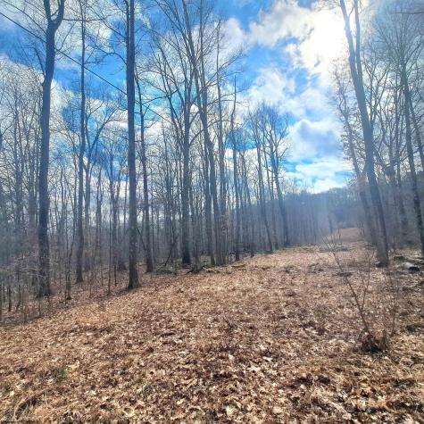 0 Glade Run Road Albright WV 26519