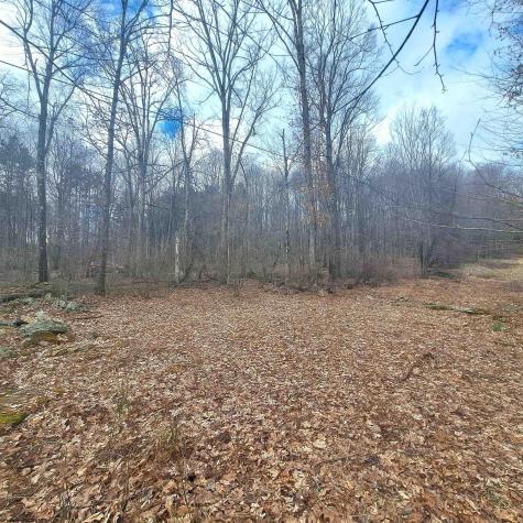 0 Glade Run Road Albright WV 26519