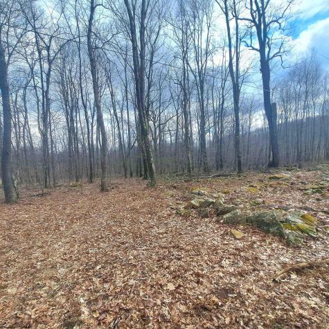 0 Glade Run Road Albright WV 26519