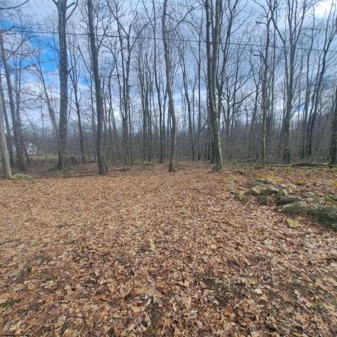 0 Glade Run Road Albright WV 26519