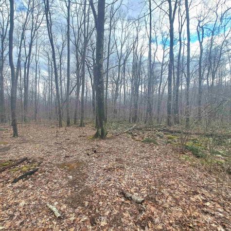 0 Glade Run Road Albright WV 26519