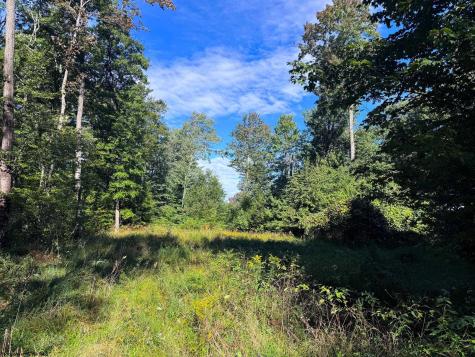 1 Woodmont Road Helvetia WV 26224