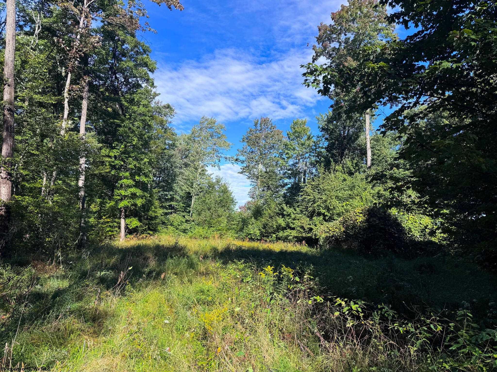 1 Woodmont Road Helvetia WV 26224