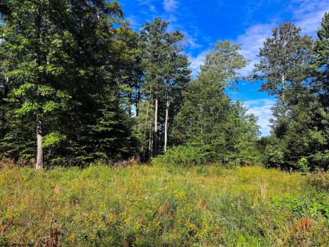 1 Woodmont Road Helvetia WV 26224