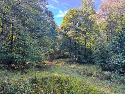 1 Woodmont Road Helvetia WV 26224