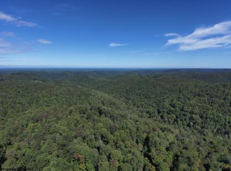 1 Woodmont Road Helvetia WV 26224