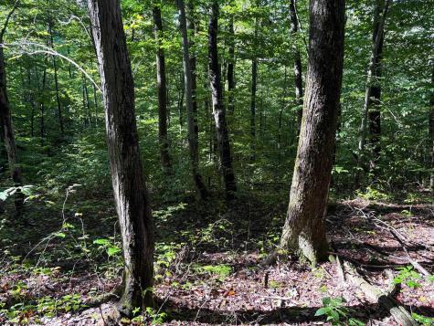 1 Woodmont Road Helvetia WV 26224