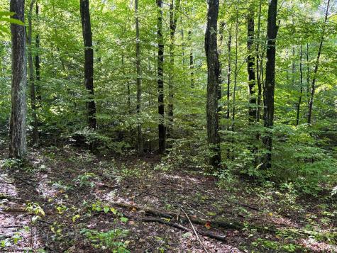 1 Woodmont Road Helvetia WV 26224