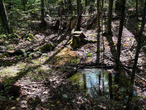 1 Woodmont Road Helvetia WV 26224