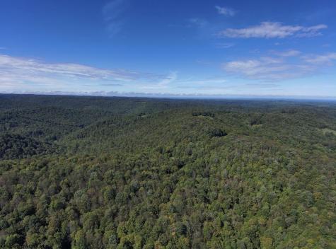 1 Woodmont Road Helvetia WV 26224