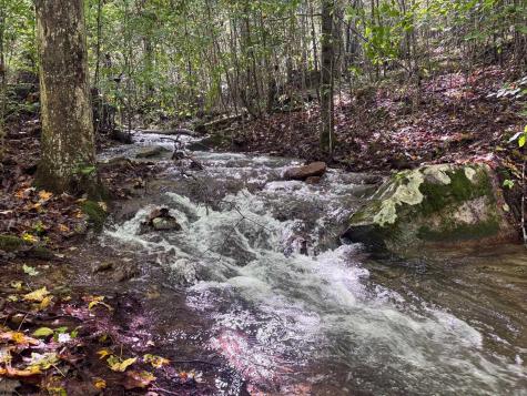 1 Woodmont Road Helvetia WV 26224
