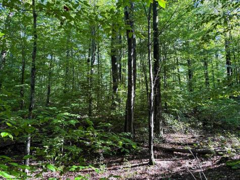 1 Woodmont Road Helvetia WV 26224