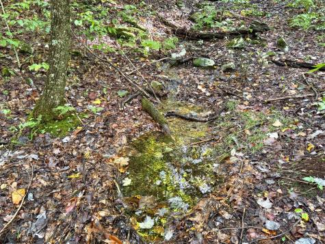 1 Woodmont Road Helvetia WV 26224
