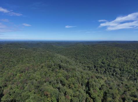 1 Woodmont Road Helvetia WV 26224