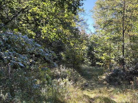 1 Woodmont Road Helvetia WV 26224