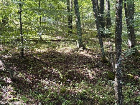 1 Woodmont Road Helvetia WV 26224