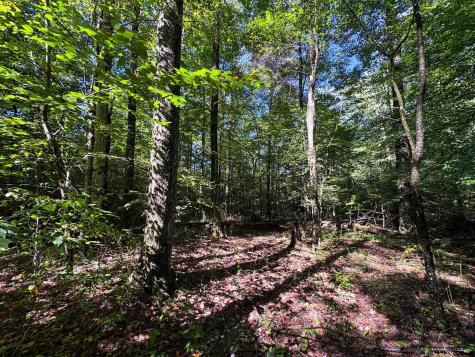 1 Woodmont Road Helvetia WV 26224