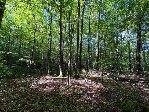 1 Woodmont Road Helvetia WV 26224