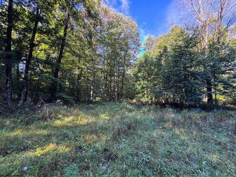 1 Woodmont Road Helvetia WV 26224