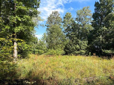 1 Woodmont Road Helvetia WV 26224