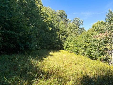 1 Woodmont Road Helvetia WV 26224