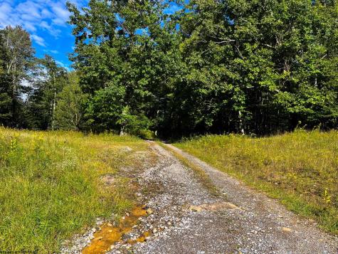 1 Woodmont Road Helvetia WV 26224