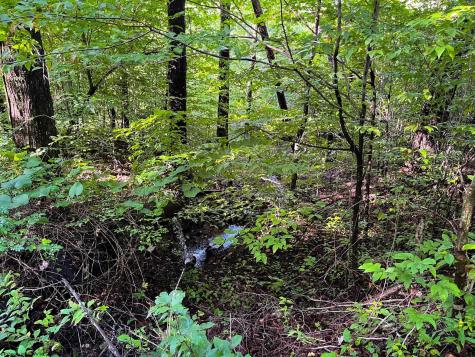1 Woodmont Road Helvetia WV 26224