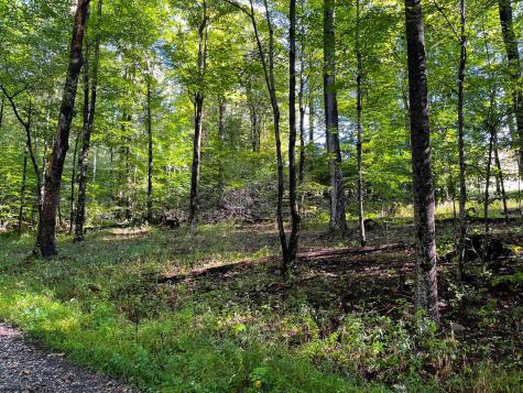 1 Woodmont Road Helvetia WV 26224