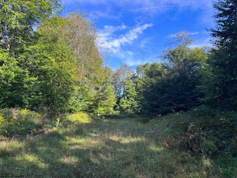1 Woodmont Road Helvetia WV 26224