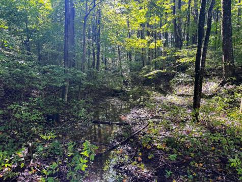 1 Woodmont Road Helvetia WV 26224