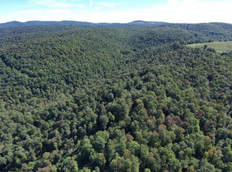 1 Woodmont Road Helvetia WV 26224