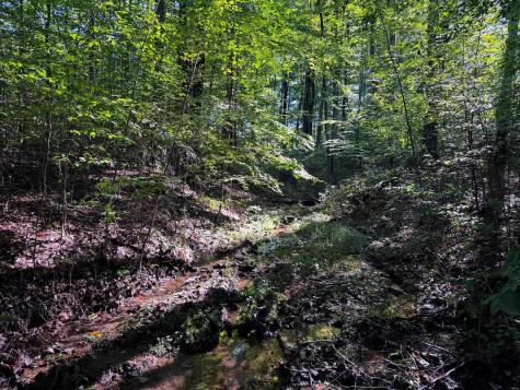 1 Woodmont Road Helvetia WV 26224