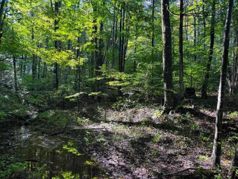 1 Woodmont Road Helvetia WV 26224