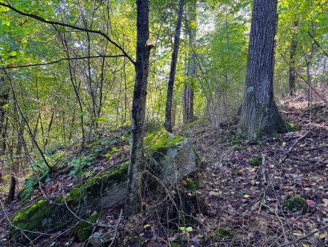 1 Woodmont Road Helvetia WV 26224