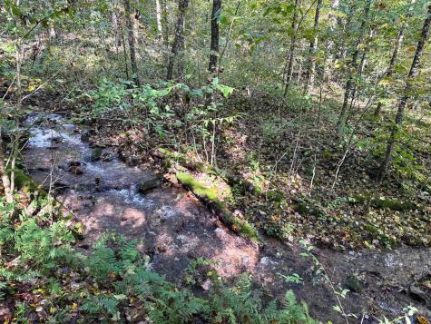1 Woodmont Road Helvetia WV 26224