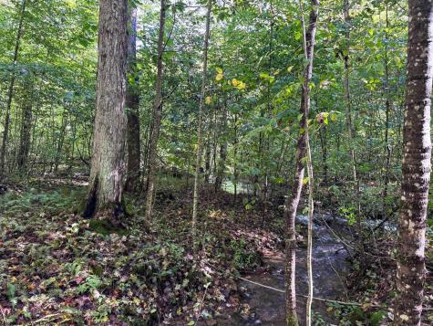 1 Woodmont Road Helvetia WV 26224