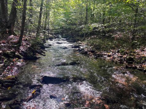 1 Woodmont Road Helvetia WV 26224
