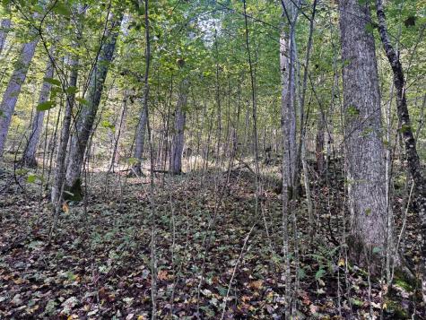 1 Woodmont Road Helvetia WV 26224
