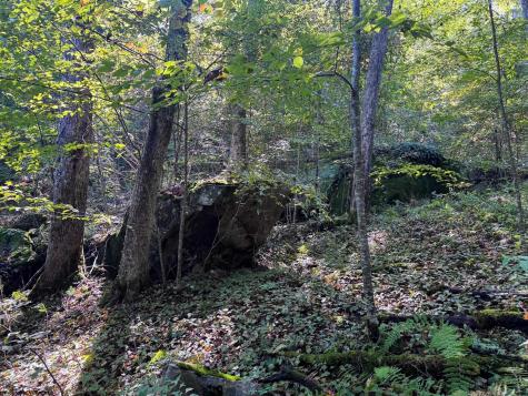 1 Woodmont Road Helvetia WV 26224