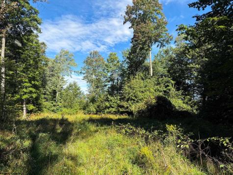 1 Woodmont Road Helvetia WV 26224
