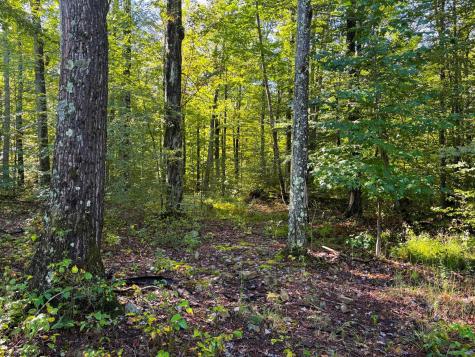 1 Woodmont Road Helvetia WV 26224