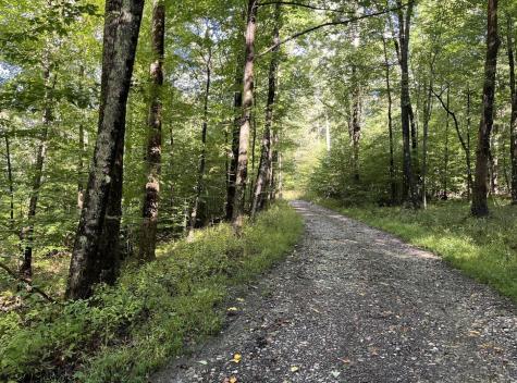 1 Woodmont Road Helvetia WV 26224